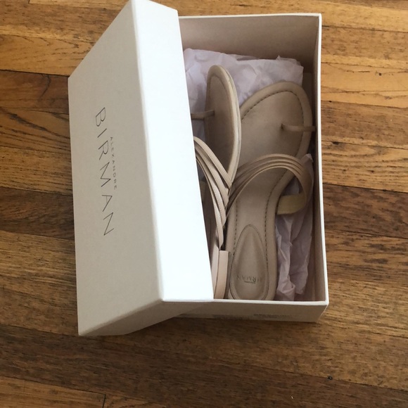 Alexandre Birman strappy flat sandal - Picture 14 of 17